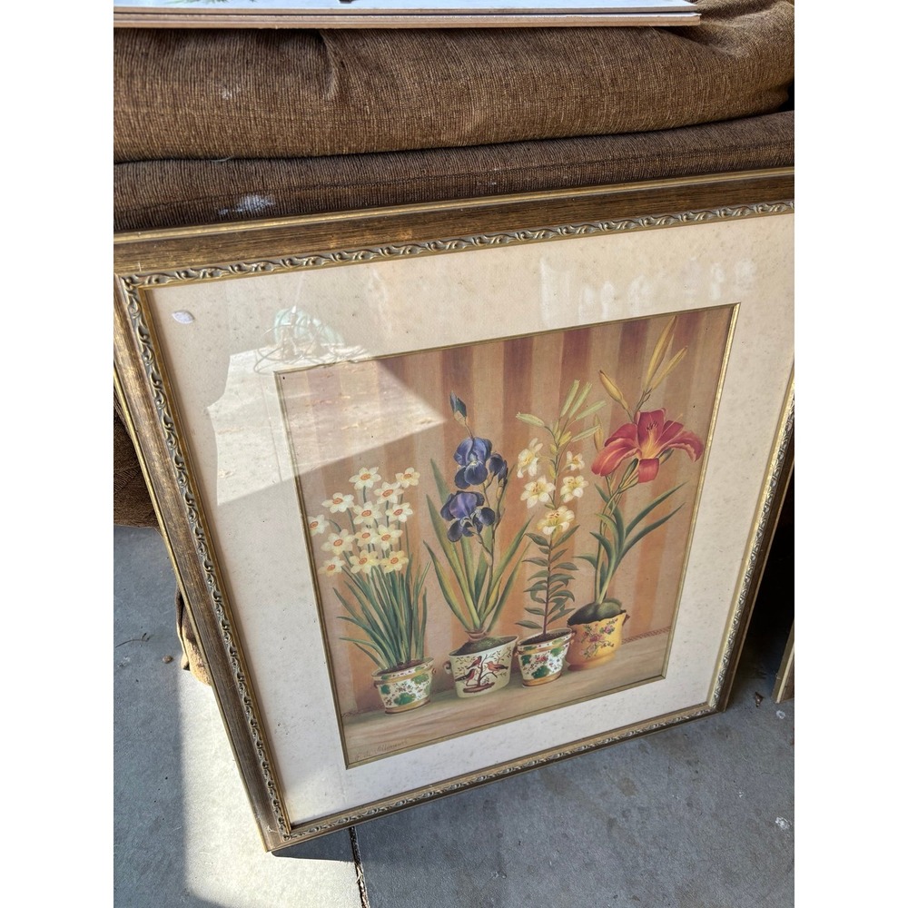 Fabrice De Villeneuve Framed Print . Large With Glass 1 Of 2 26x32